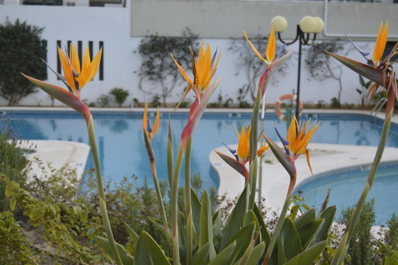 Apartamento Proximo Da Marina Vilamoura C/Piscina E Estacionamento Eksteriør billede